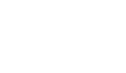 Handyman and Maintenance of SWFL Corp